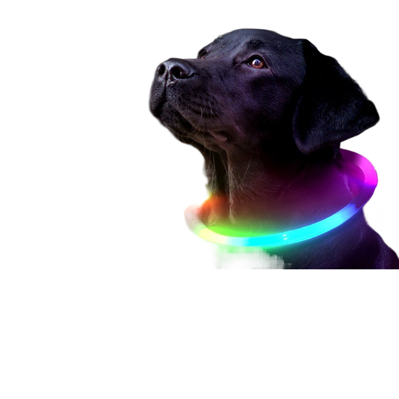 Glow-in-the-Dark Pet Collar – Adjustable Collar for Dogs & Cats