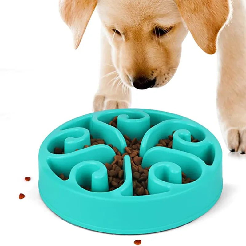 Slow Feeder Dog Bowl – Non-Slip Anti-Gulping Feeding Bowl for Puppies & Dogs