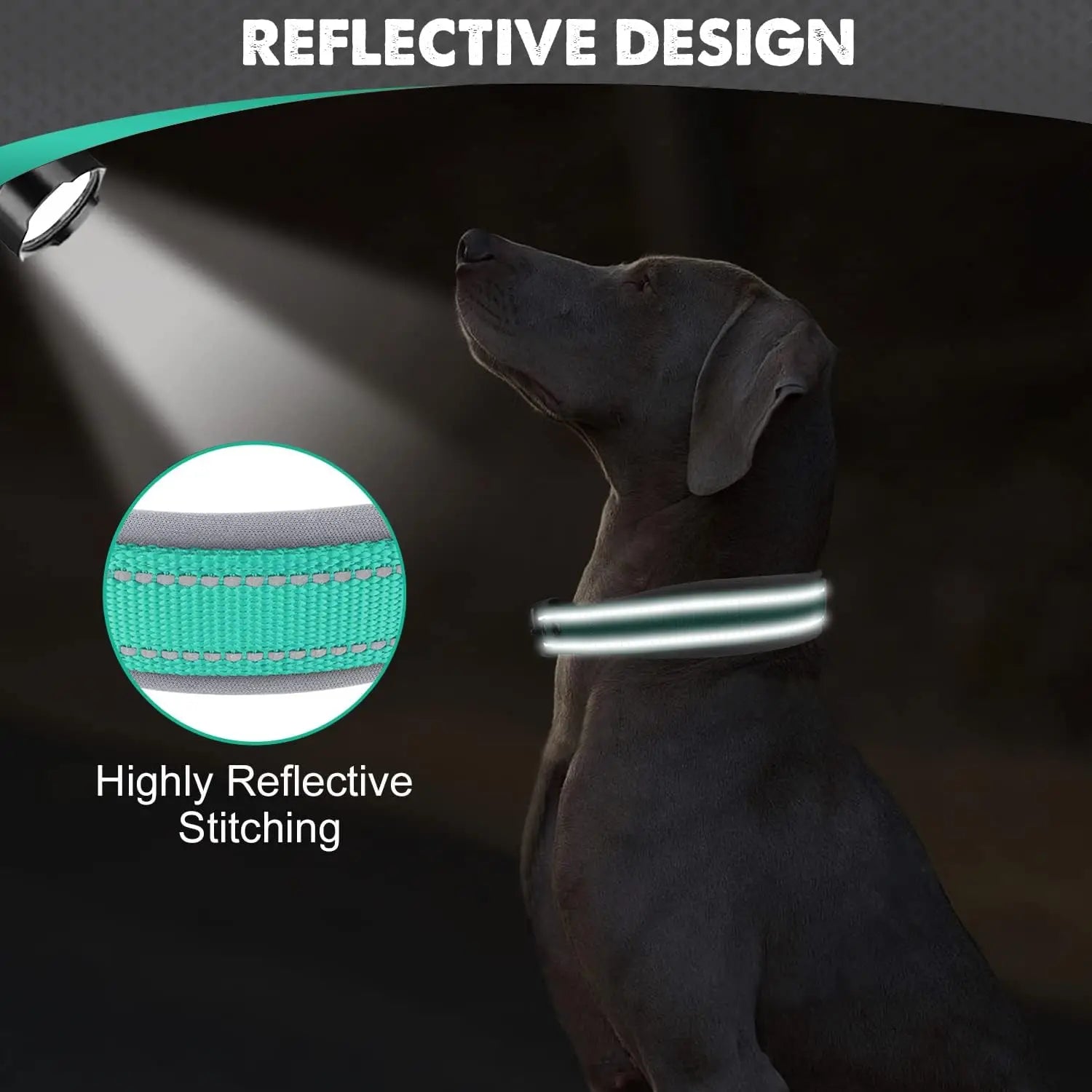 Reflective Padded Dog Collar – Soft, Adjustable & Heavy-Duty