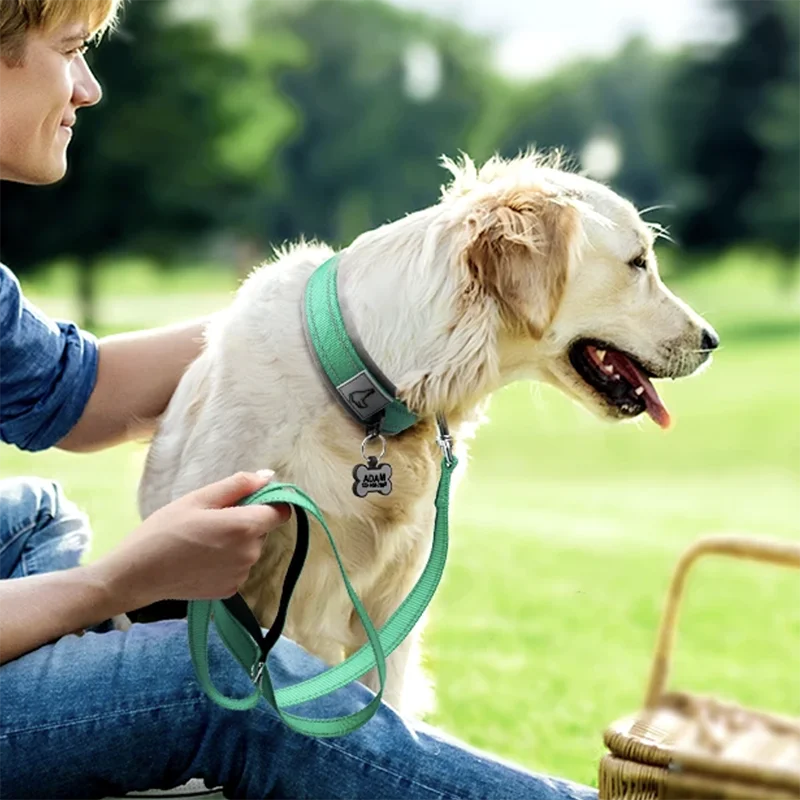 Reflective Padded Dog Collar – Soft, Adjustable & Heavy-Duty