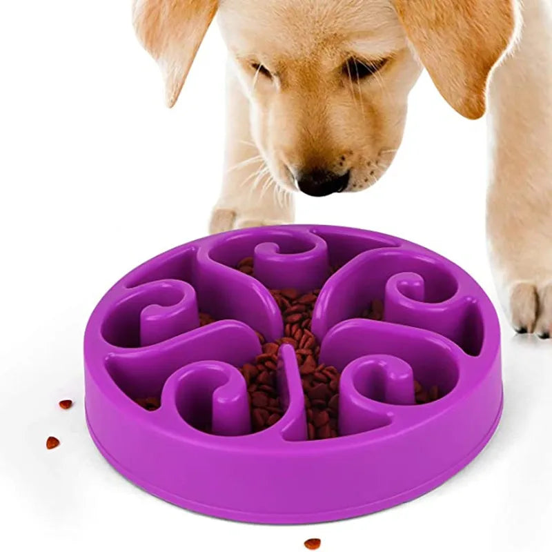 Slow Feeder Dog Bowl – Non-Slip Anti-Gulping Feeding Bowl for Puppies & Dogs