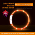 Glow-in-the-Dark Pet Collar – Adjustable Collar for Dogs & Cats